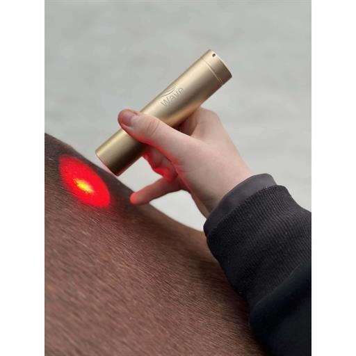 01 18500019 01 wave rlt pen 3,0 gold edition (1)